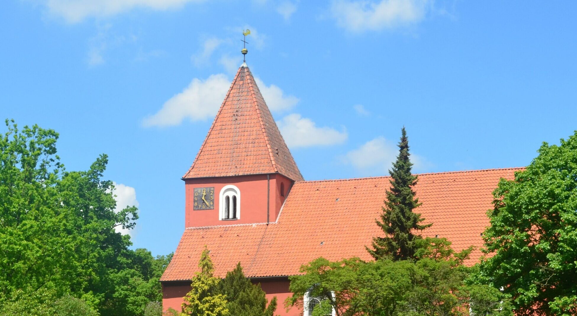 Advent in St. Petri Foto